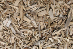 biomass boilers Dinorwic